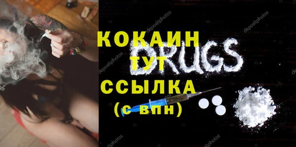 индика Богородицк