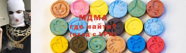 индика Богородицк