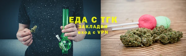 индика Богородицк