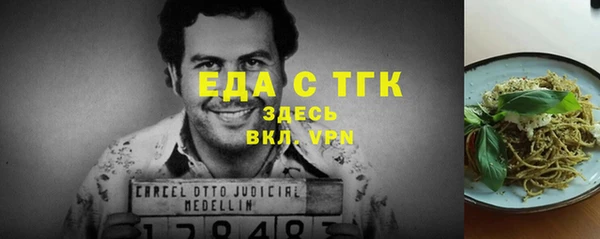 индика Богородицк