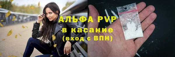 индика Богородицк