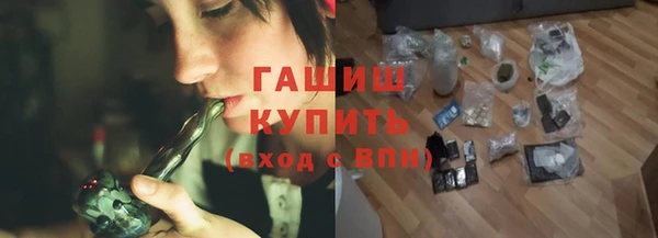 индика Богородицк