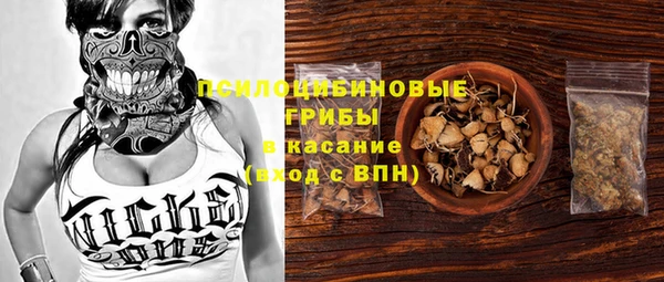 индика Богородицк
