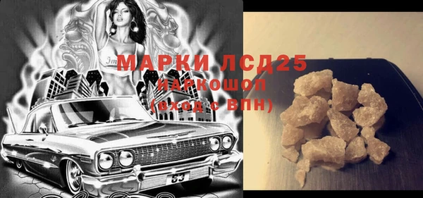 индика Богородицк