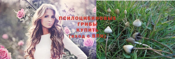 индика Богородицк
