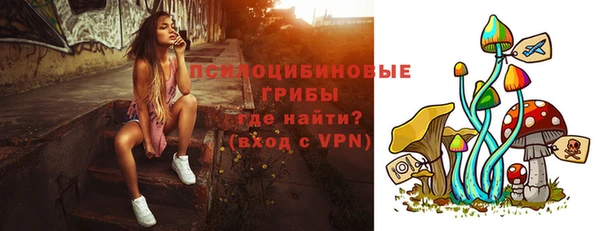 индика Богородицк