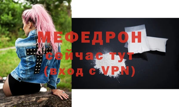индика Богородицк