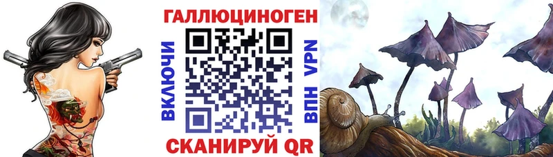 MEGA tor  Кола  Галлюциногенные грибы мухоморы  где купить наркотик 