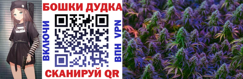 Бошки Шишки AK-47  кракен сайт  Кола  даркнет сайт 